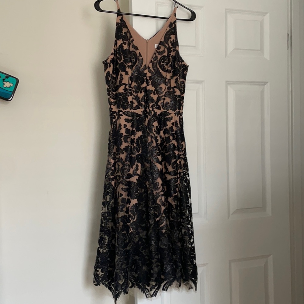 Dress the Population Black and Nude Lace Dress